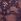 Shadow Purple Thong Lace Knickers