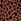 Leopard Brown Ruched Flare Leggings