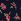 Noir Navy Blue Cute But Dangerous Print Thong No Show Knickers