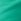 Green Regular Logo Shorts