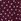 Wild Rose Purple Floral Print Cotton Foldover Super Flare Leggings