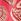 Coral Pink Printed Rash Vest Bikini Set