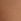 Toffee Nude G-string No Show Knickers