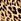 Leopard Brown Victoria's Secret Cotton Logo Bra