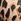 Leopard Brown Victoria's Secret Bra