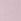 Pink Tulip Boyshort Cotton Logo Knickers