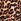 Leopard Brown Victoria's Secret Bikini Top