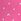 pink gossip Thong Cotton Knickers