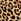 Leopard Brown Victoria's Secret Cotton Logo Bra