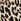 Leopard Brown Victoria's Secret Cotton Logo Bra