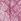 Fresh Jam Purple Victoria's Secret Rose Lace Knickers