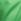 Wild Green Pyjama Bottoms