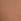 Toffee Nude G-string No Show Knickers