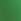 Wild Green Seamless Knickers