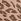Brown Leopard Cotton Logo Knickers