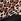Brown Leopard Victoria's Secret Chain Bikini Top