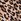 Natural Leopard Black Brief Knickers