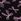 Black Bow Print G-string No Show Knickers