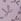 Purple Bow Print G-string No Show Knickers