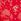 Bright Vermillion Red Brazilian Lace Knickers