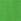 Green Graphic Logo T-shirt