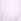 Pink Stripe Full Cup Push Up Logo Shine Patch Bra