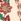 Ecru Floral 100% Silk Skinny Scarf