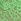Green Pistachio Thong Knickers