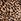 Leopard Brown Thong Exploded Logo Knickers