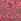 Wild Salmon Pink G-string Lace Knickers