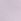 Purple Whisper Thong Cotton Lace Trim Knickers