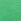 Graphic Green Thong Cotton Mini Logo Knickers