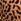 Leopard Brown Non Wired Push Up So Obsessed Bra