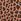 Leopard Brown Modal Long Sleeve Pyjamas Top