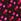Black Cherries Print Lace Trim Short Pyjama Bottoms