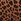 Leopard Brown Thong Lace Trim Knickers