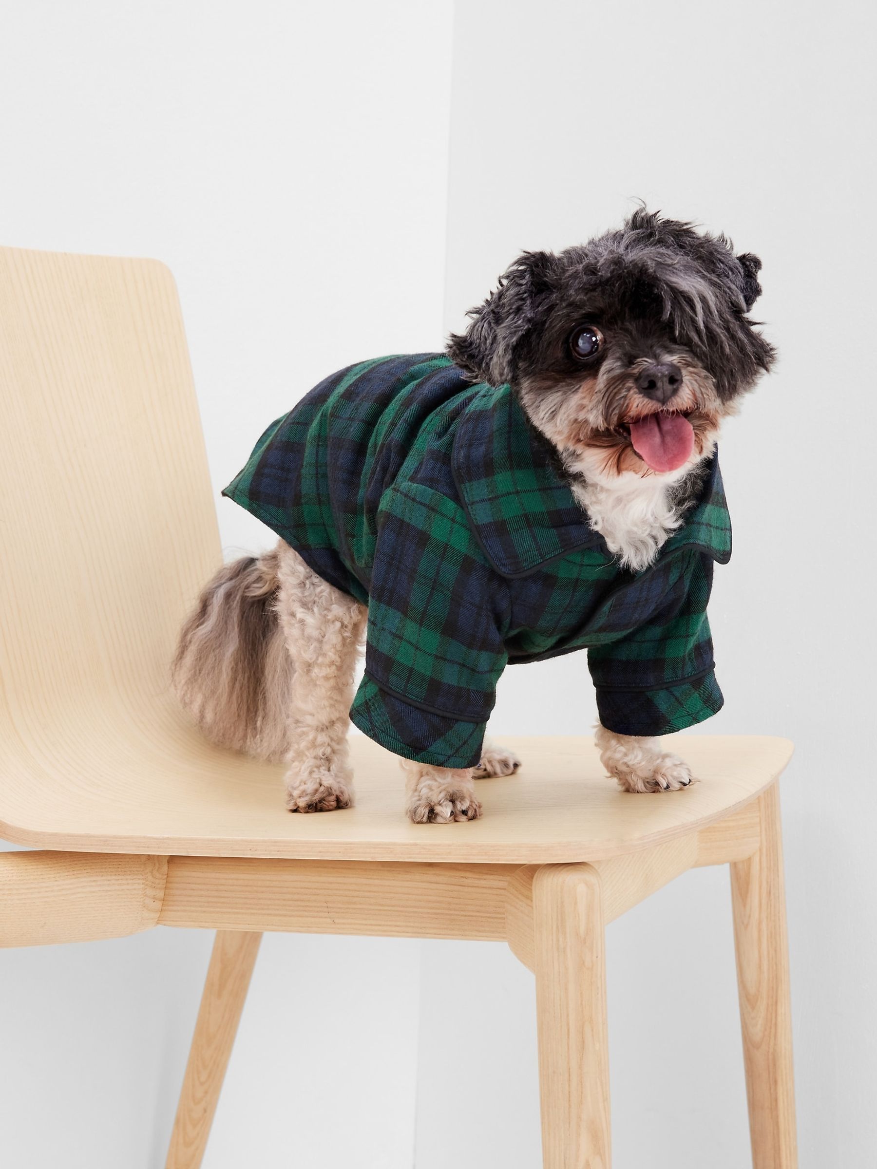 Dog Pyjamas - Image 1 of 1